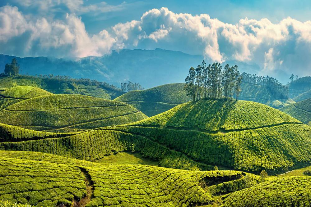 Scenic Kerala