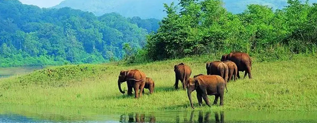 Scenic Kerala